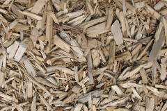 biomass boilers Blowinghouse